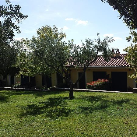 Agriturismo La Vite E Gli Ulivi Villa Арича Екстериор снимка