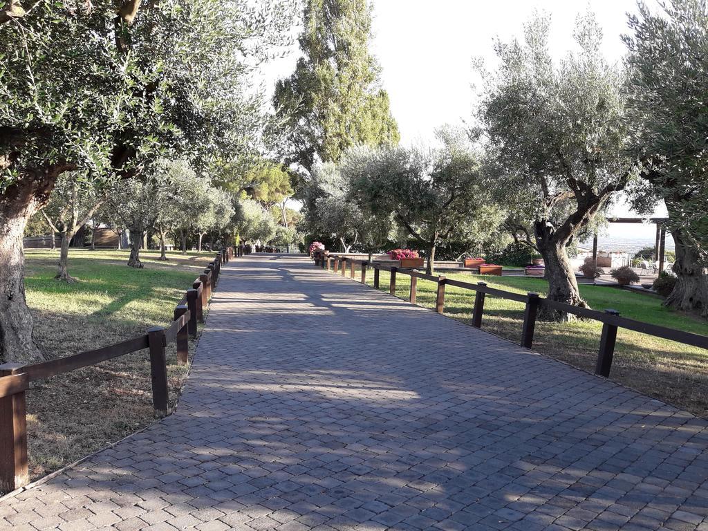 Agriturismo La Vite E Gli Ulivi Villa Арича Екстериор снимка