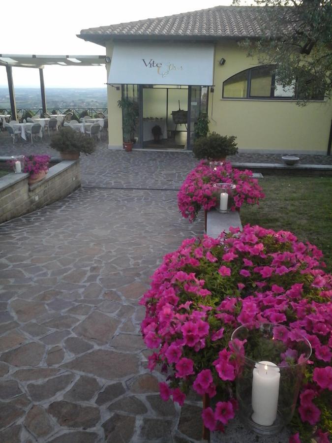 Agriturismo La Vite E Gli Ulivi Villa Арича Екстериор снимка
