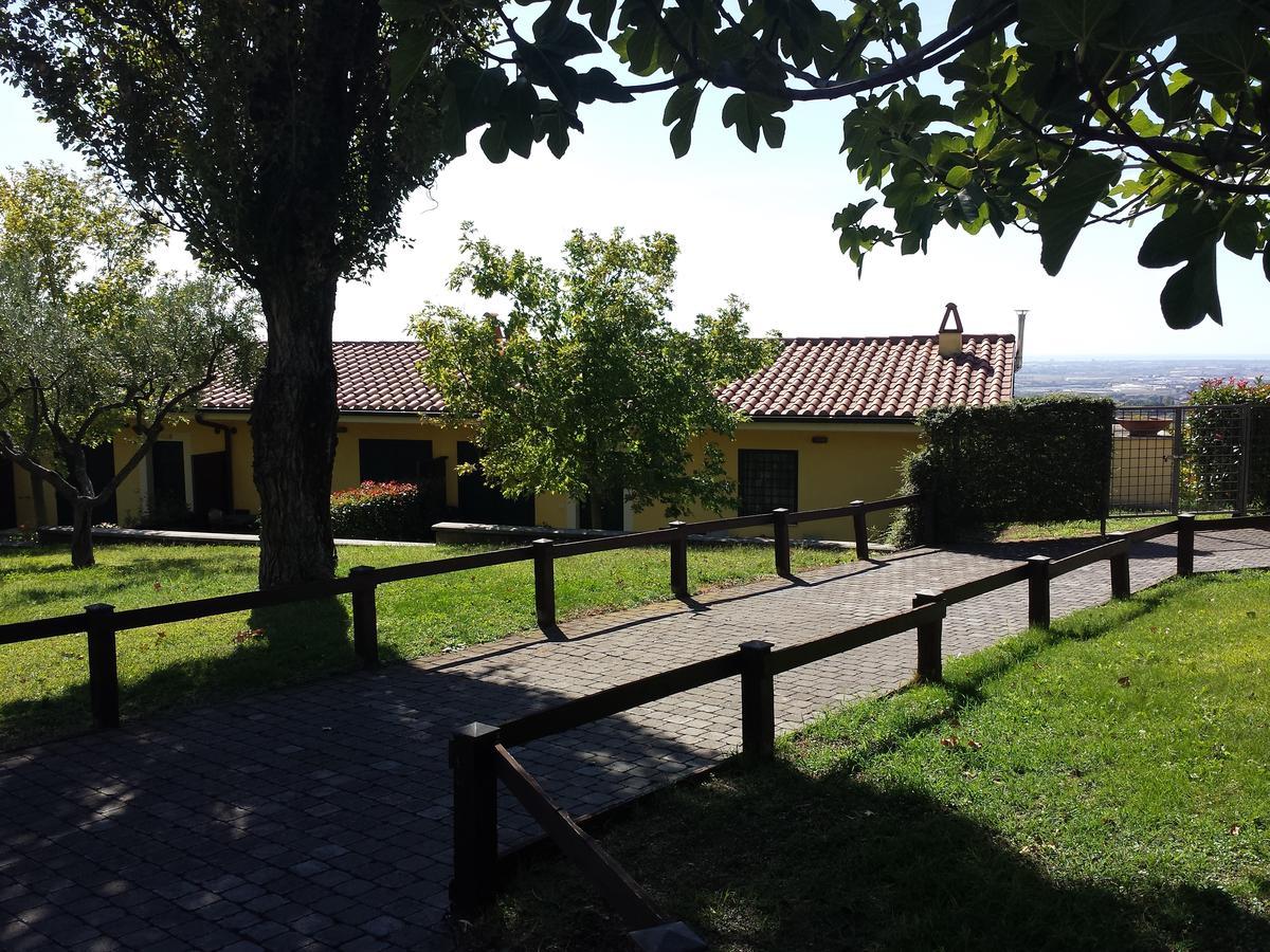 Agriturismo La Vite E Gli Ulivi Villa Арича Екстериор снимка